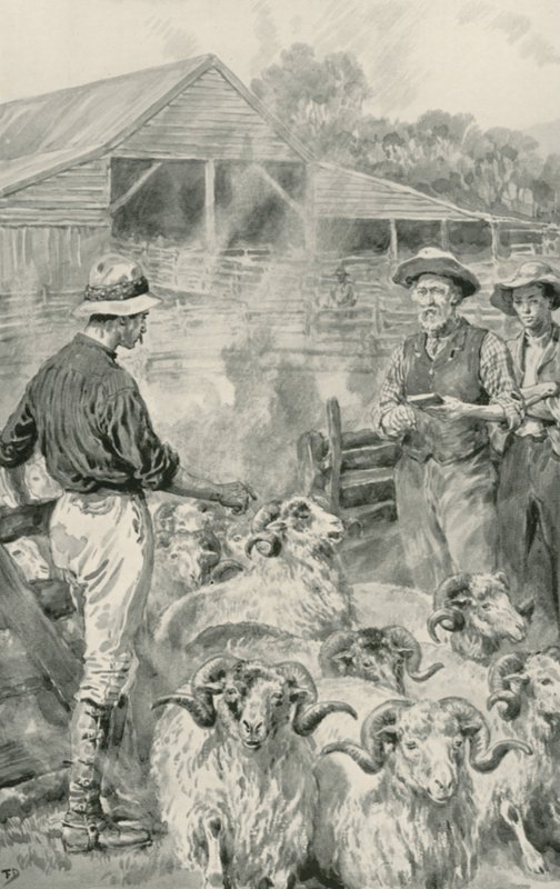 A Sheep Station on Canterbury Plains by Frank Dadd