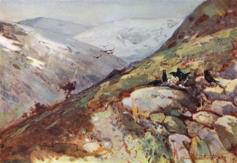 Near Kielder by Frank Southgate