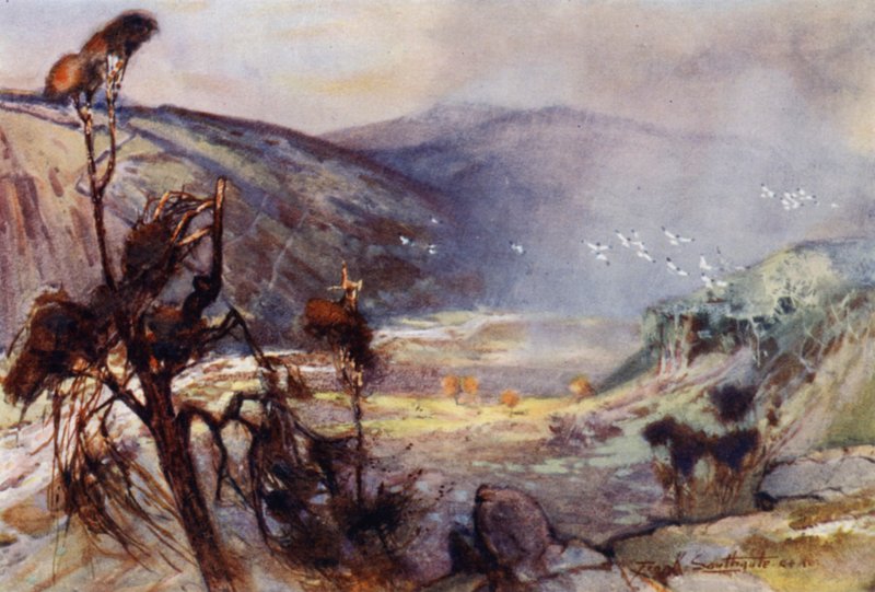 Storm in the Cheviots by Frank Southgate