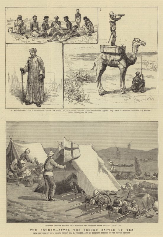 The Soudan, after the Second Battle of Teb by Frederic Villiers
