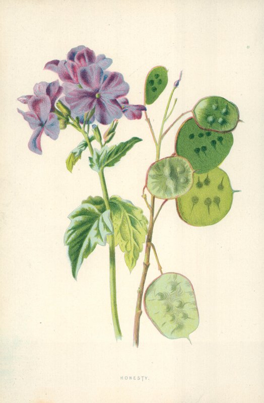Honesty by Frederick Edward Hulme