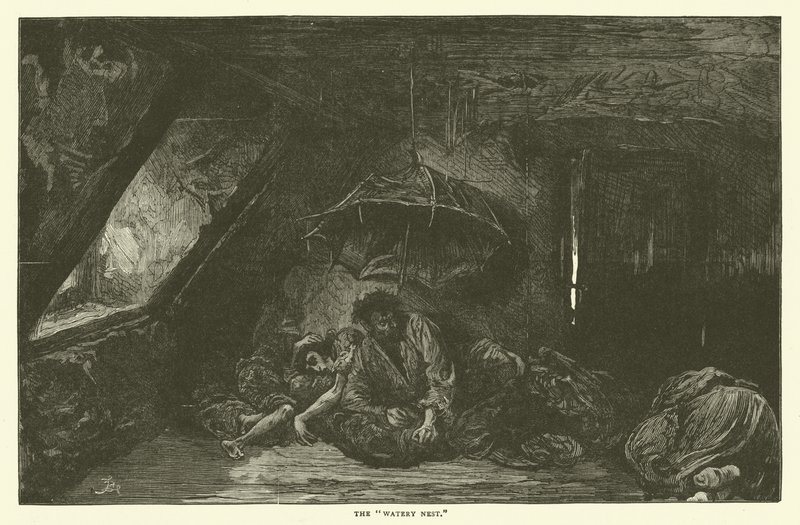 The Watery Nest by Frederick L. Bernard