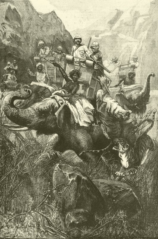 Tiger hunting in India (engraving) by Frederick William Burton