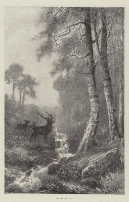 Dawn in the Forest by Frederick William Hayes