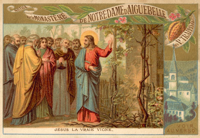 Christ the True Vine by French School