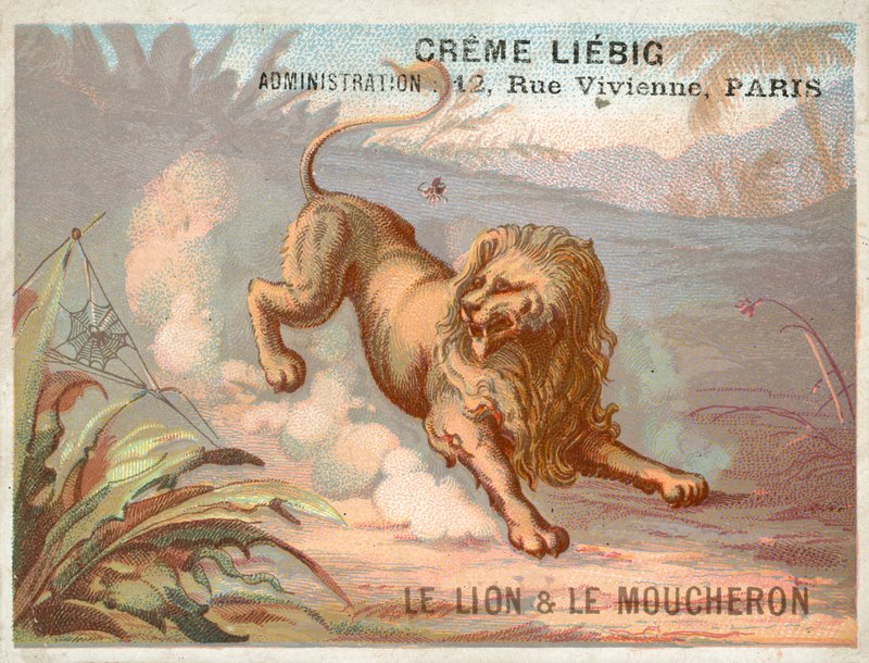 The Lion and the Mosquito by French School
