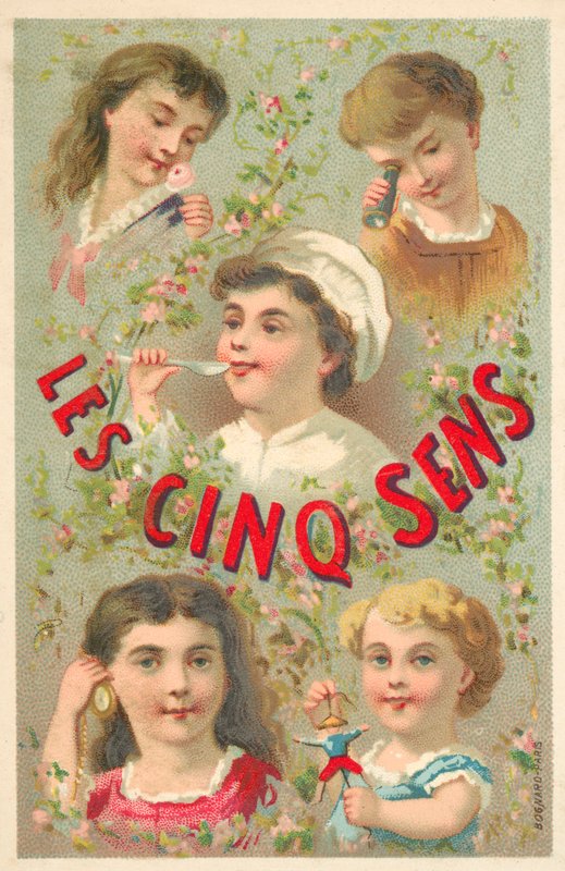 The five senses by French School