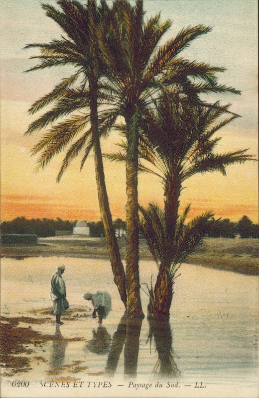 Algeria: Landscape of the South by French Photographer