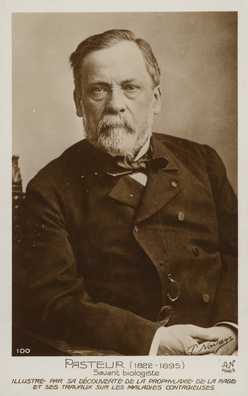 Louis Pasteur (1822-1895), French chemist and microbiologist by French Photographer