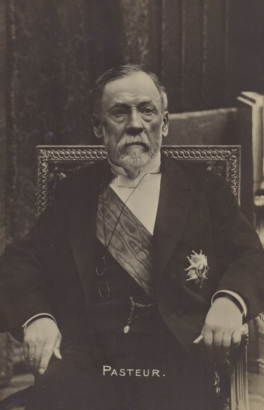 Louis Pasteur (1822-1895), French chemist and microbiologist by French Photographer
