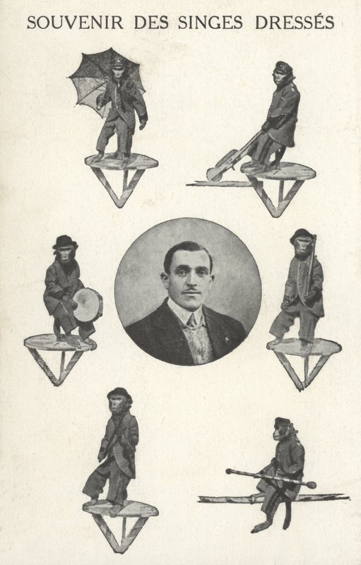 Monkeys in costume by French Photographer