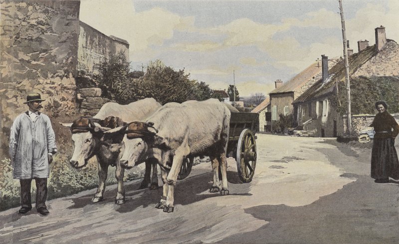 Saulieu, A Carriage in the Morvan by French Photographer