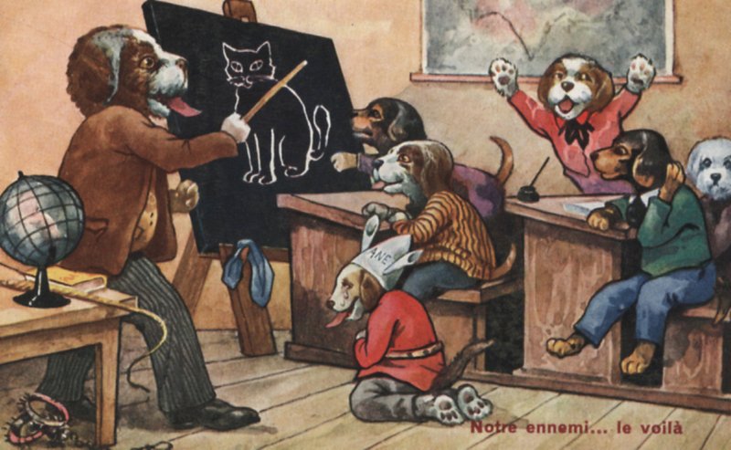 A classroom of dogs by French School