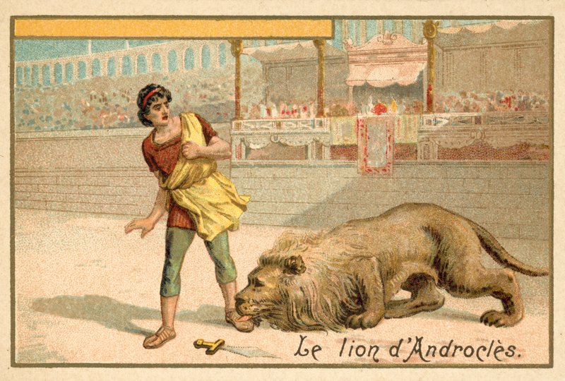 Androcles and the Lion by French School