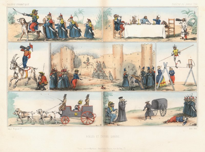Anthropomorphic Dogs and Monkeys by French School