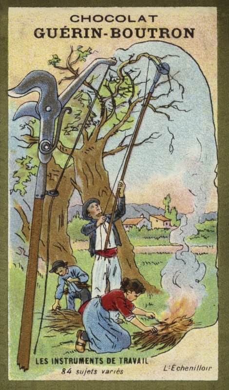 Averruncator by French School