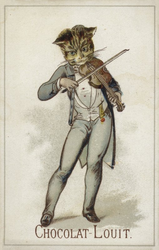 Cat playing the fiddle by French School