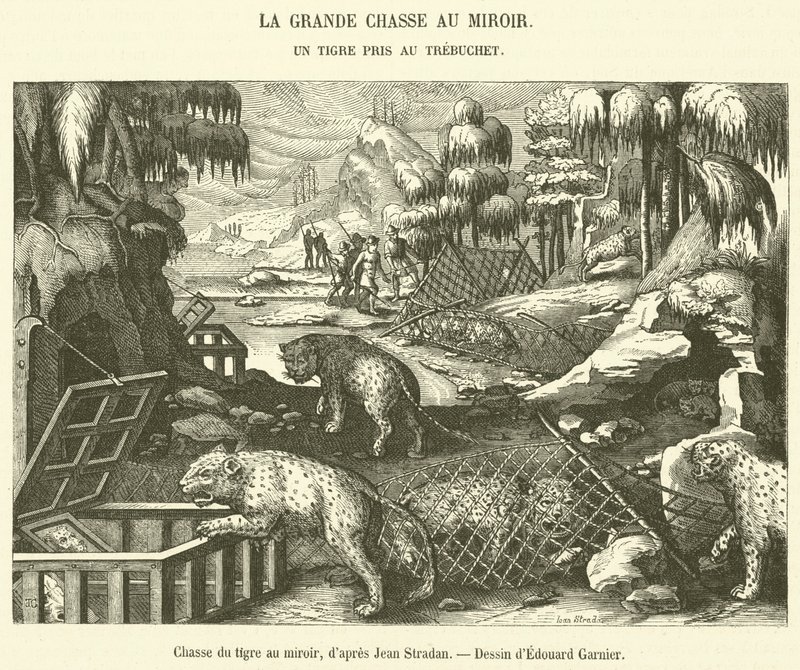 Tiger Hunt with Mirror (engraving) by French School