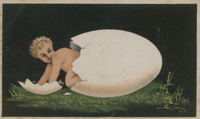 Child Emerging from an Egg by French School