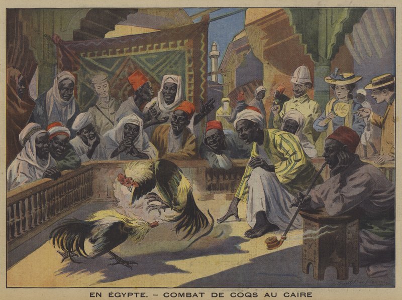 Cock fighting in Cairo by French School