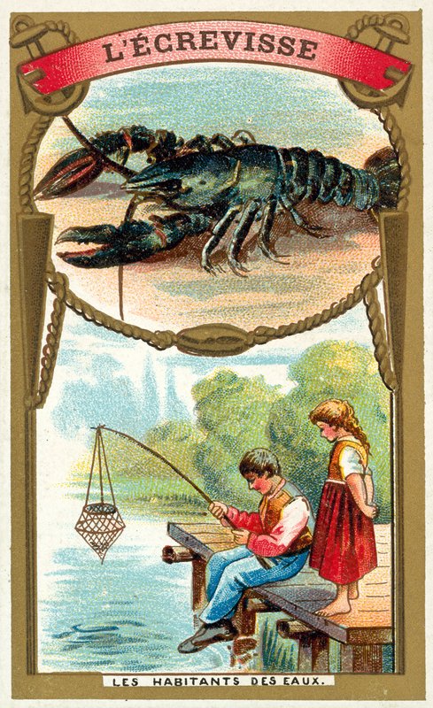 Crayfish by French School