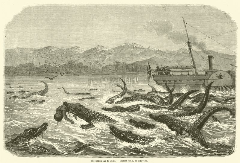 Crocodiles on the Chire by French School