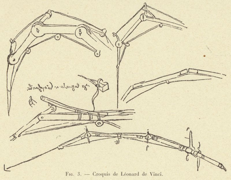 Sketches by Leonardo da Vinci by French School