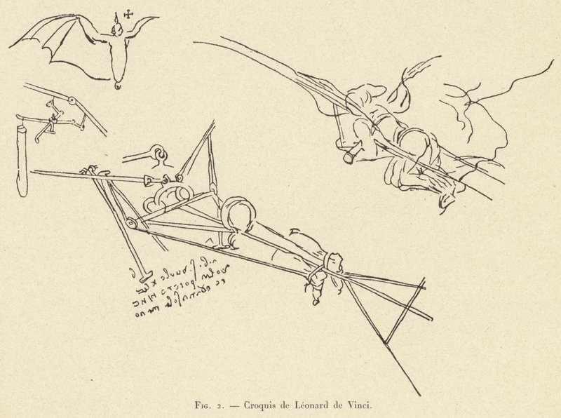 Sketches by Leonardo da Vinci by French School