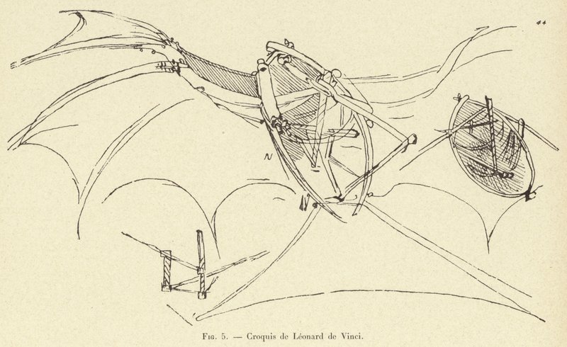 Sketches by Leonardo da Vinci by French School
