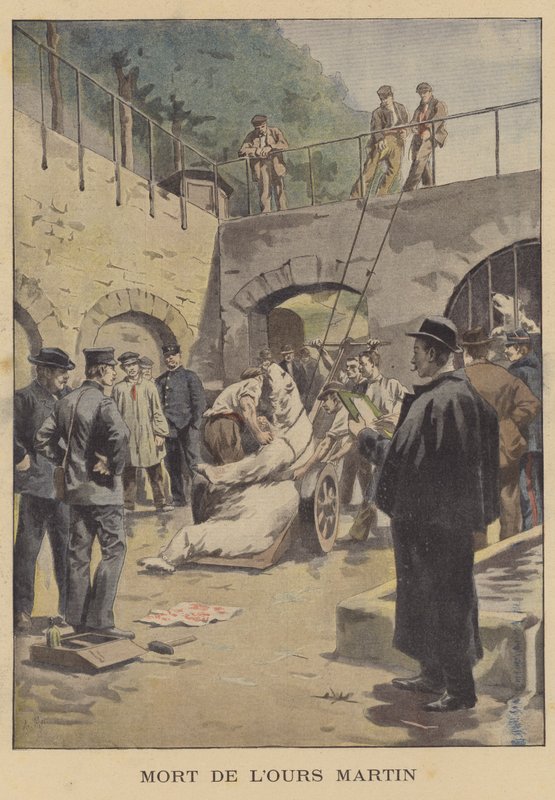 Death of Martin the polar bear by French School