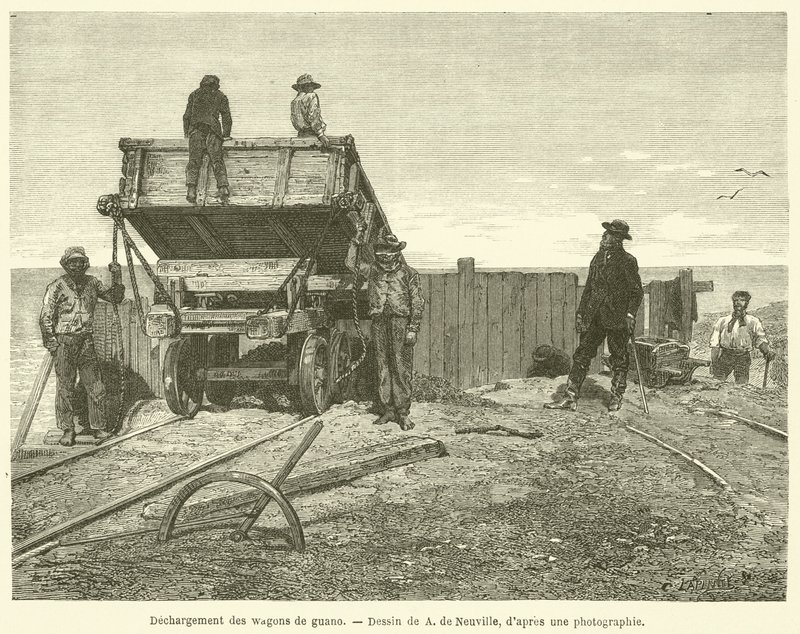 Unloading guano wagons by French School