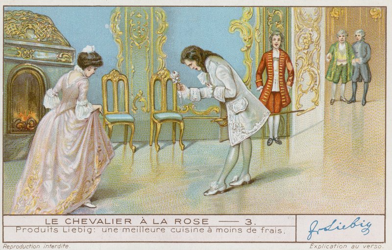 The Knight of the Rose by French School