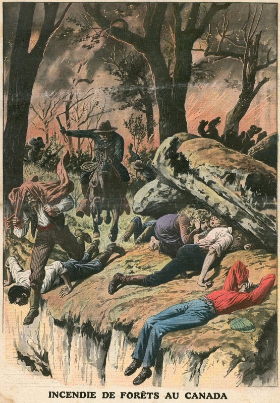 Fire in the Forests of Canada by French School