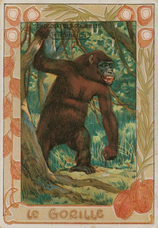 Gorilla by French School