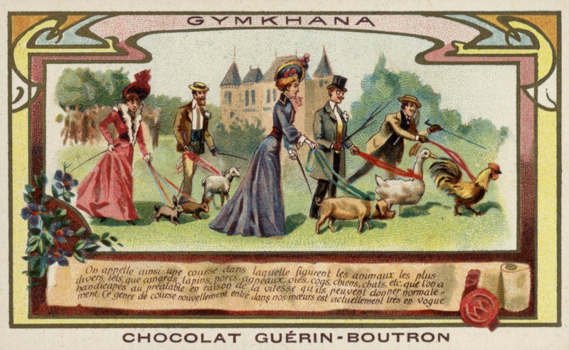Gymkhana by French School