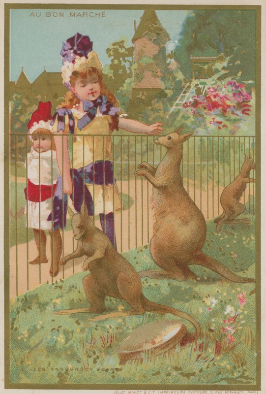 Kangaroos at a zoo by French School