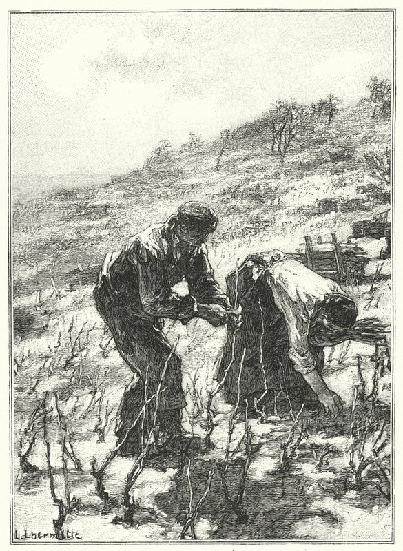 The Vine Pruning by French School