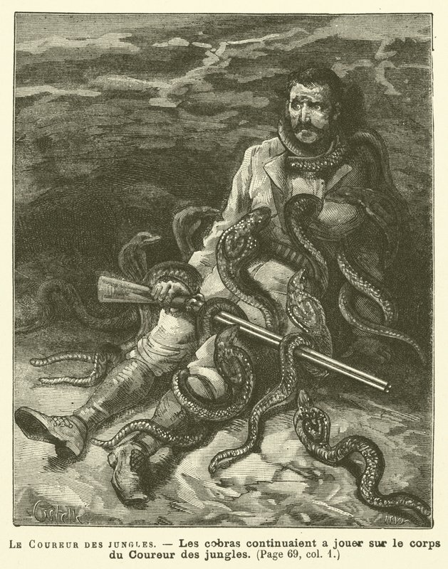 The Jungle Runner by French School