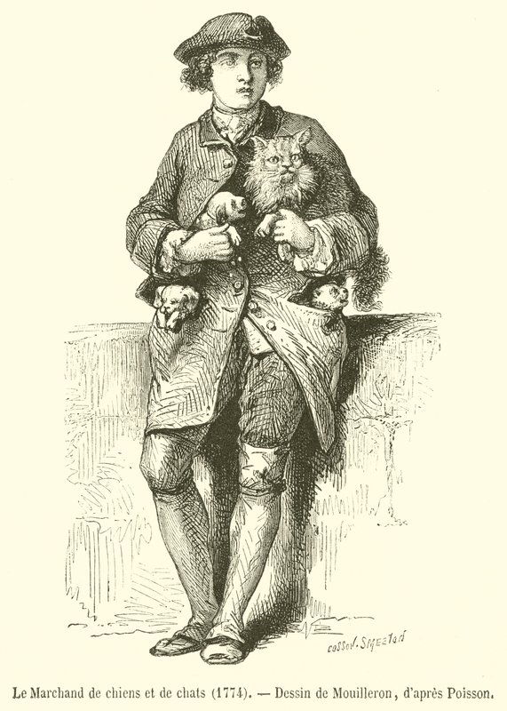 The Dog and Cat Merchant by French School