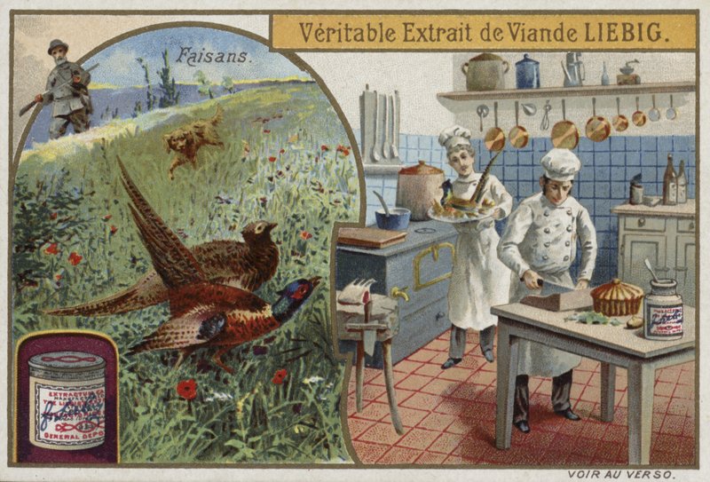 Liebig card featuring pheasants by French School