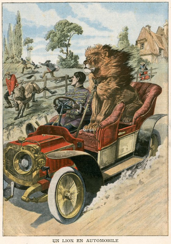 Lion in an automobile by French School