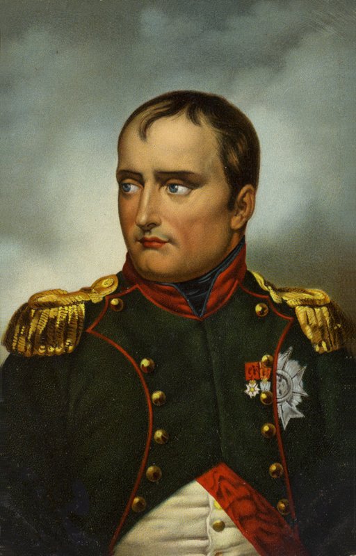 Napoleon I by French School