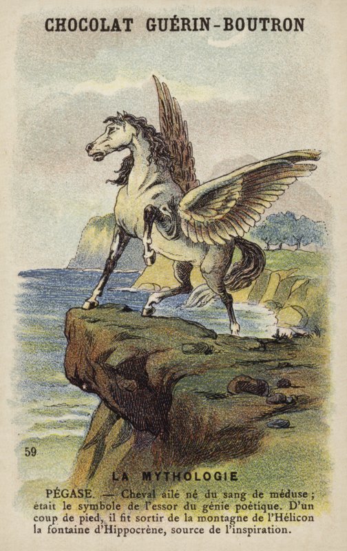 Pegasus by French School