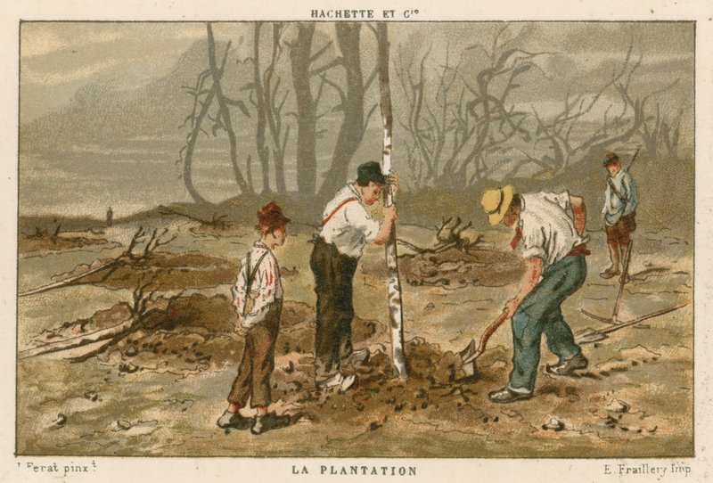 Planting Trees by French School