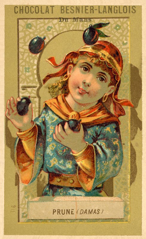 Plums from Damascus by French School