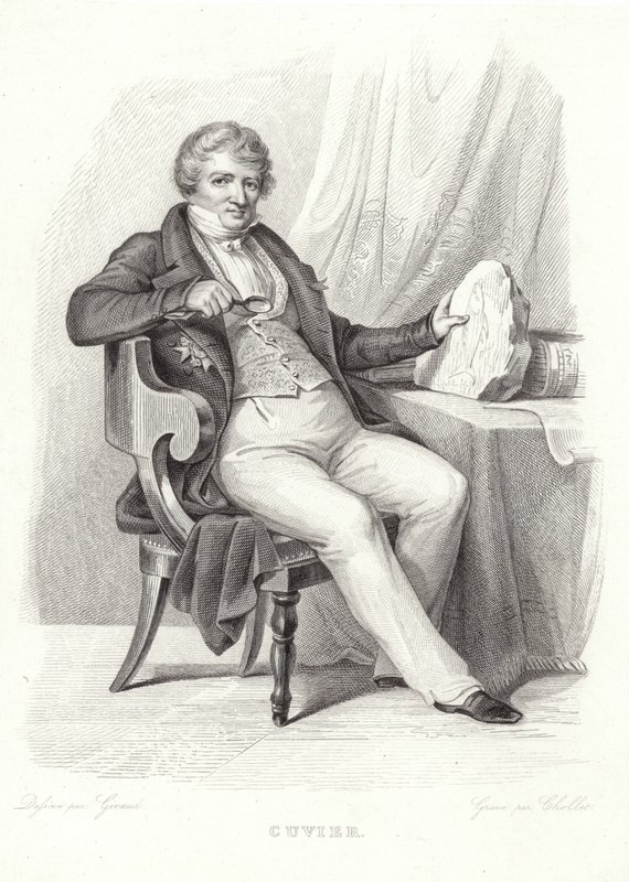 Portrait of George Cuvier by French School