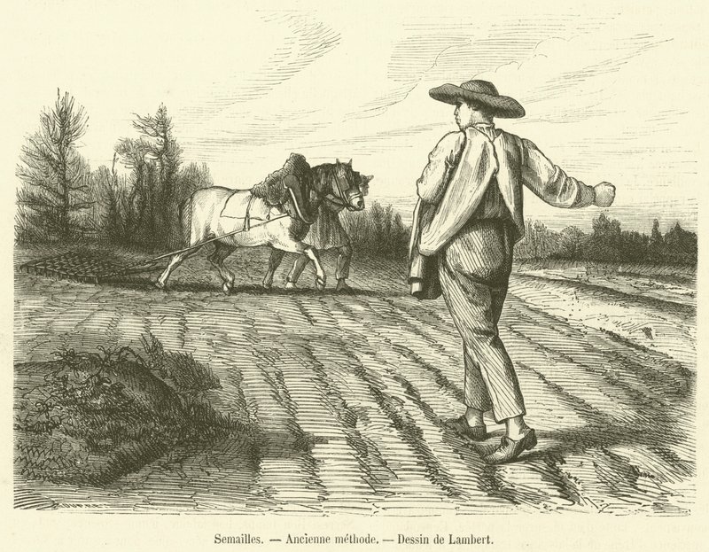 Sowing, Ancient Method (engraving) by French School