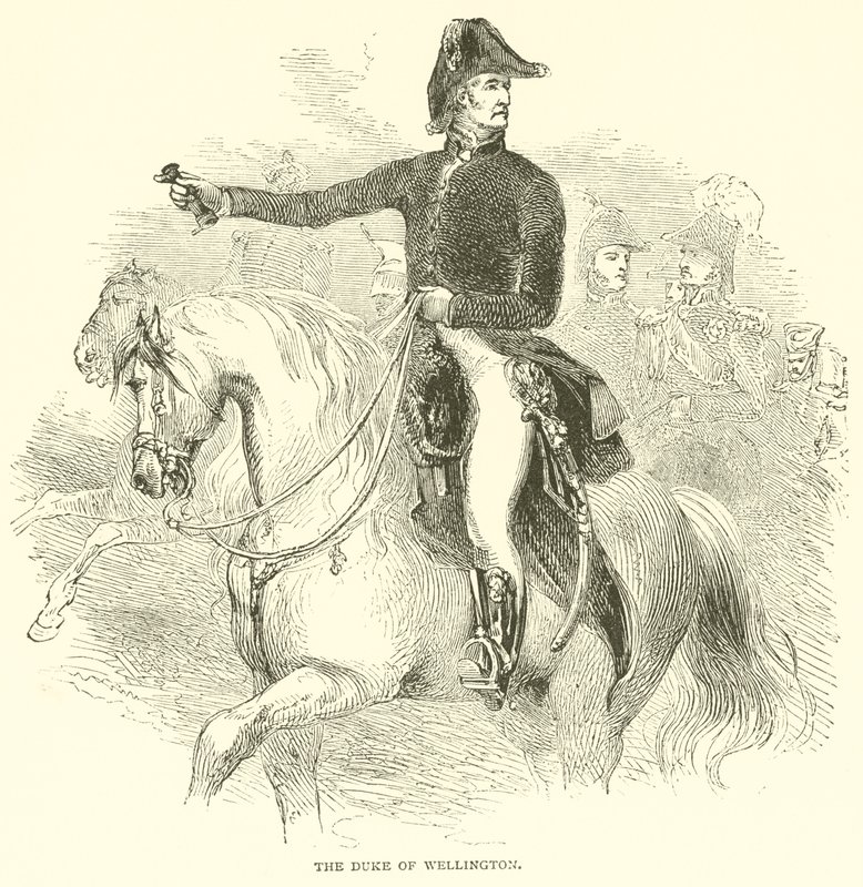 The Duke of Wellington by French School
