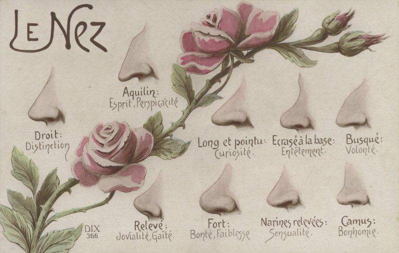 The Nose by French School