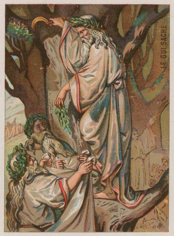 The Sacred Mistletoe by French School